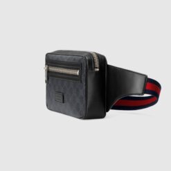 Alternative view of Belt Bag