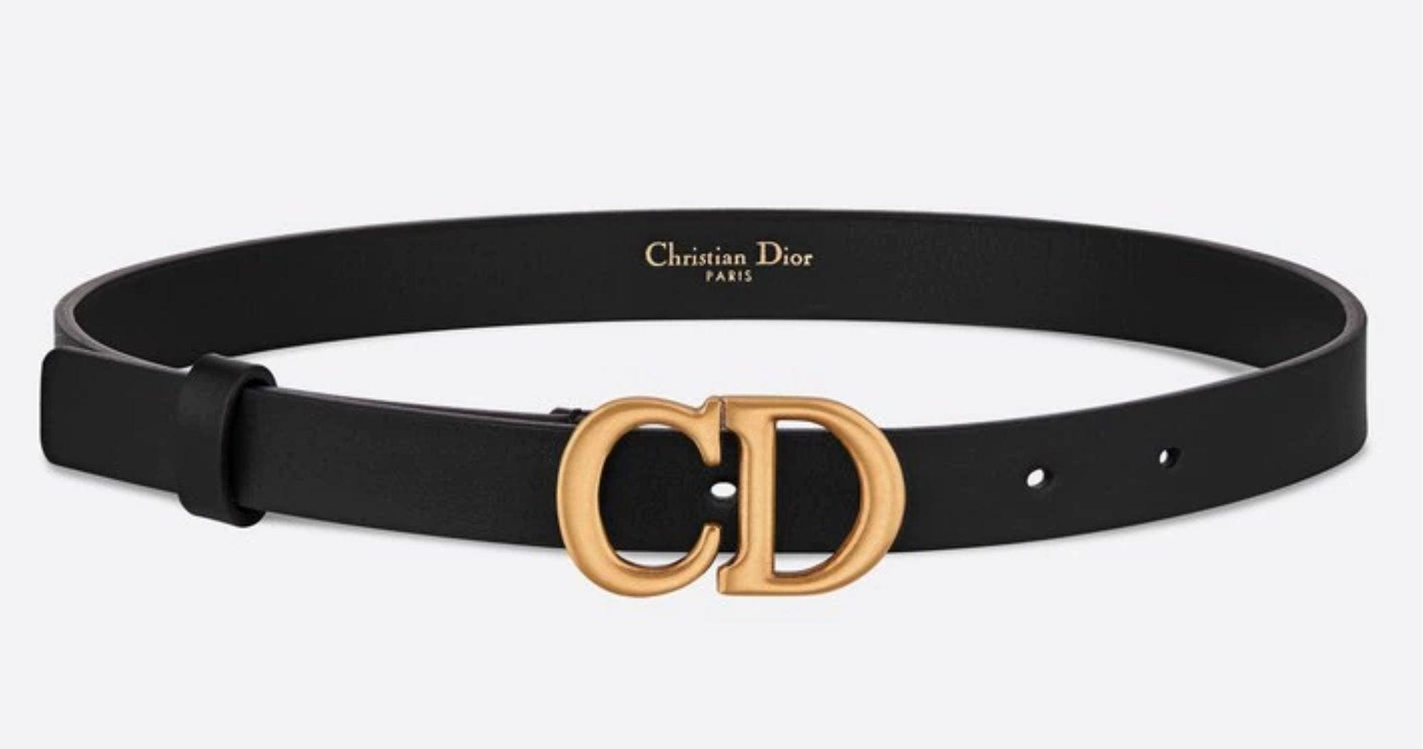 Christian Dior Saddle Belt